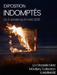 Exposition "Les Indomptés", Metz 2026