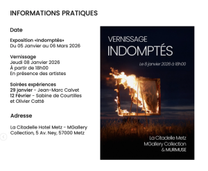 Exposition "Les Indomptés", Metz 2026